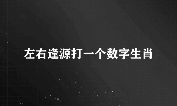 左右逢源打一个数字生肖