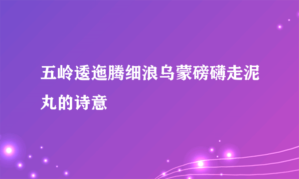 五岭逶迤腾细浪乌蒙磅礴走泥丸的诗意