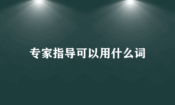 专家指导可以用什么词