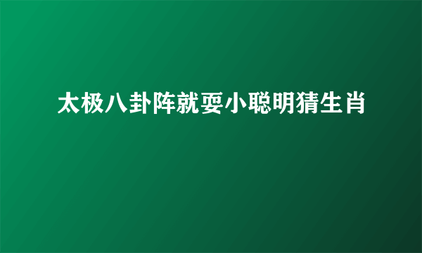 太极八卦阵就耍小聪明猜生肖