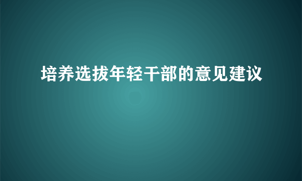 培养选拔年轻干部的意见建议