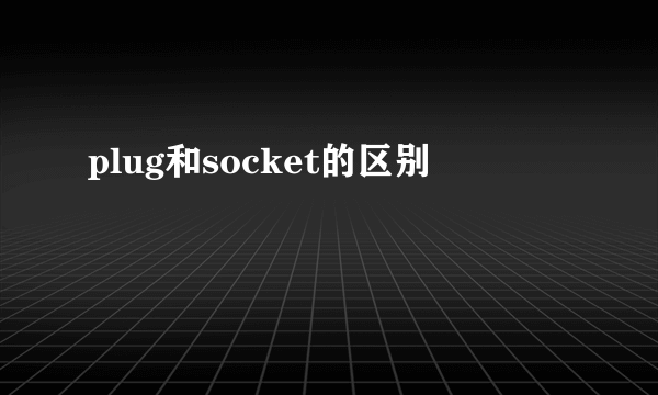 plug和socket的区别