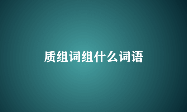 质组词组什么词语