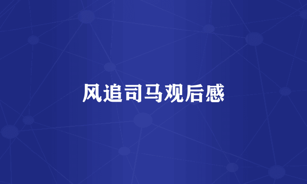 风追司马观后感