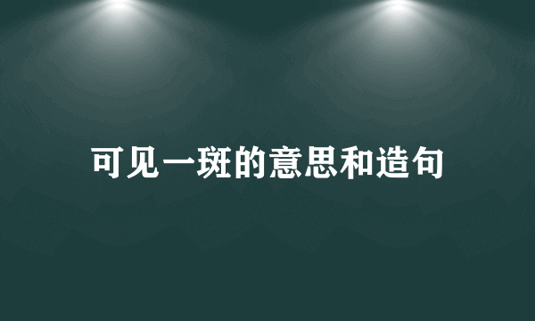 可见一斑的意思和造句