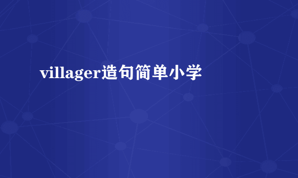 villager造句简单小学