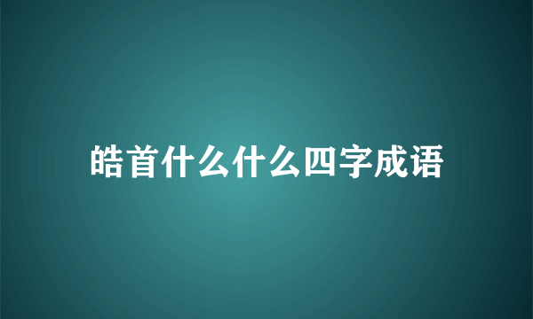 皓首什么什么四字成语