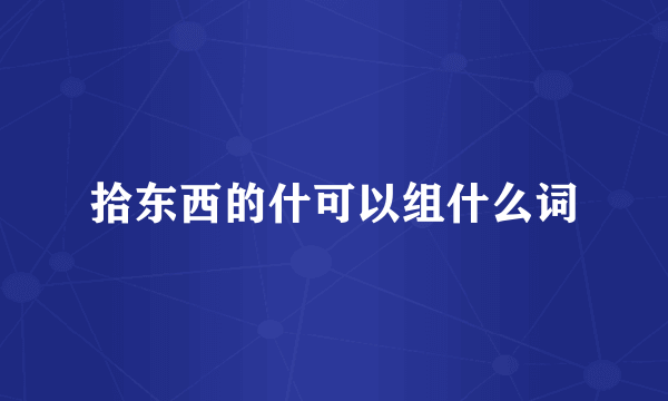 拾东西的什可以组什么词
