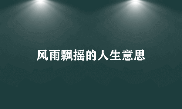 风雨飘摇的人生意思