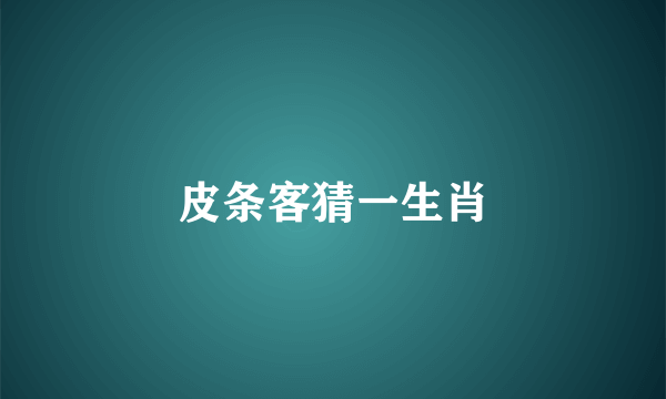 皮条客猜一生肖