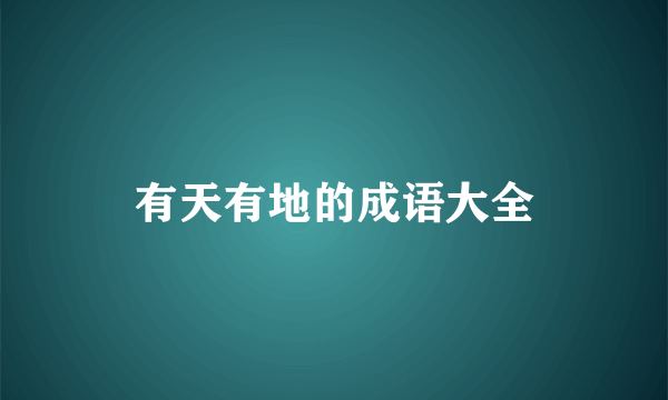 有天有地的成语大全