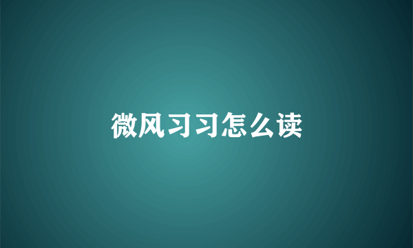 微风习习怎么读