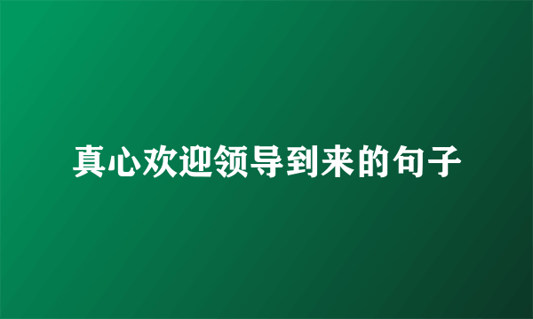 真心欢迎领导到来的句子