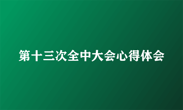 第十三次全中大会心得体会