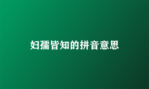 妇孺皆知的拼音意思