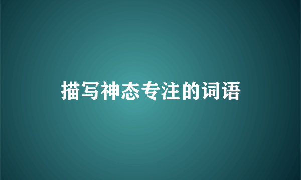 描写神态专注的词语
