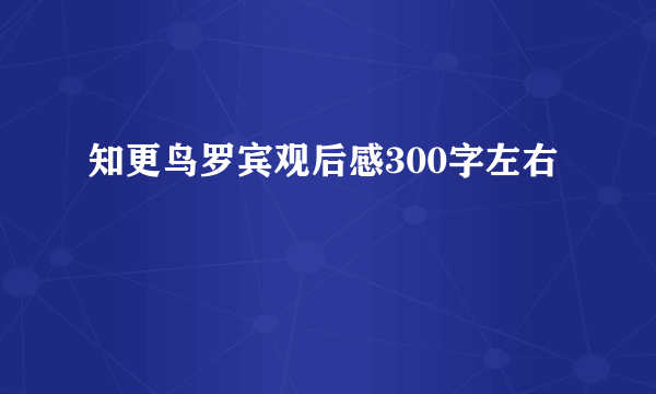 知更鸟罗宾观后感300字左右
