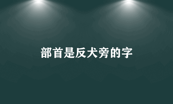 部首是反犬旁的字