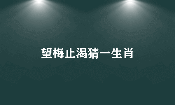 望梅止渴猜一生肖