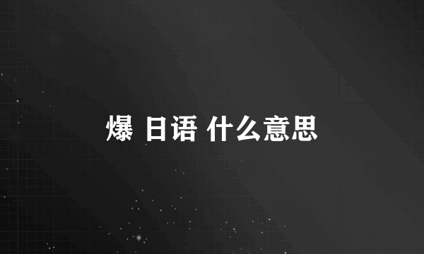 爆 日语 什么意思