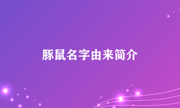 豚鼠名字由来简介