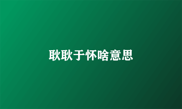 耿耿于怀啥意思