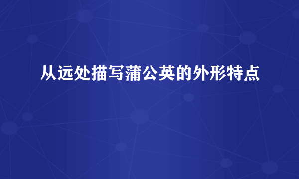 从远处描写蒲公英的外形特点