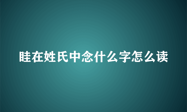 眭在姓氏中念什么字怎么读