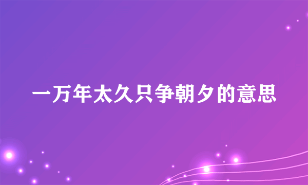 一万年太久只争朝夕的意思