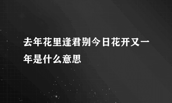 去年花里逢君别今日花开又一年是什么意思