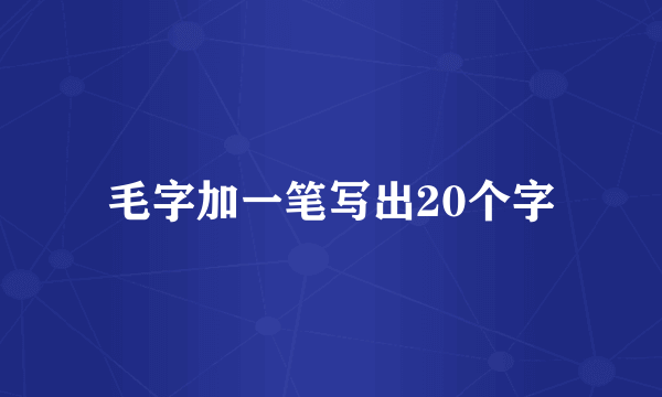 毛字加一笔写出20个字