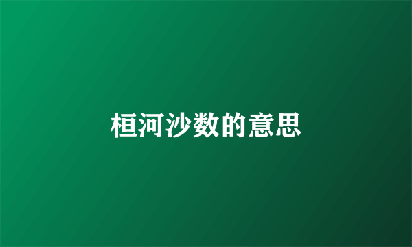 桓河沙数的意思