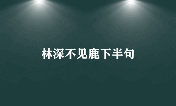 林深不见鹿下半句