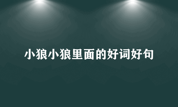 小狼小狼里面的好词好句