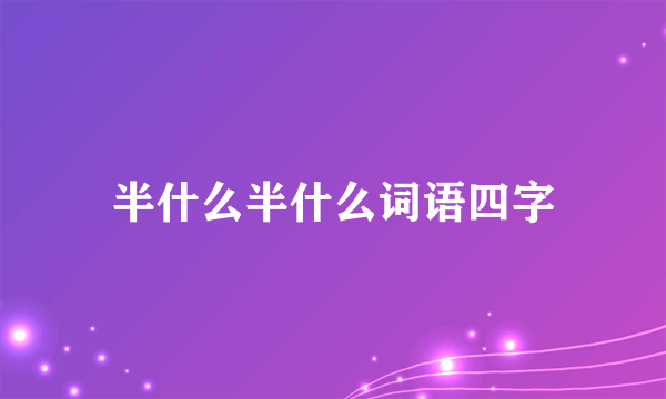 半什么半什么词语四字