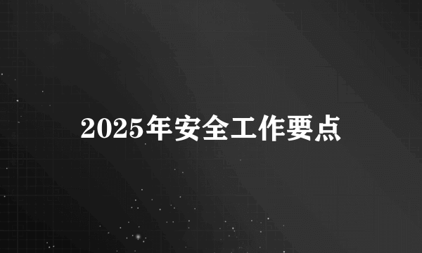 2025年安全工作要点