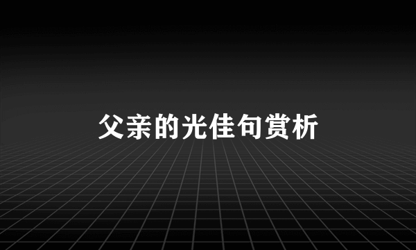 父亲的光佳句赏析