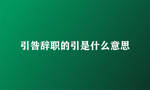 引咎辞职的引是什么意思