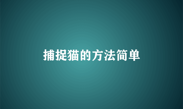 捕捉猫的方法简单