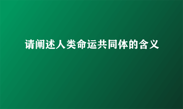 请阐述人类命运共同体的含义