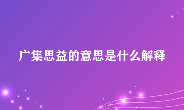 广集思益的意思是什么解释