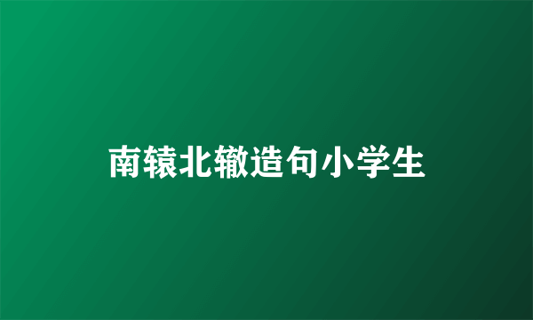 南辕北辙造句小学生