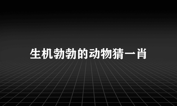 生机勃勃的动物猜一肖