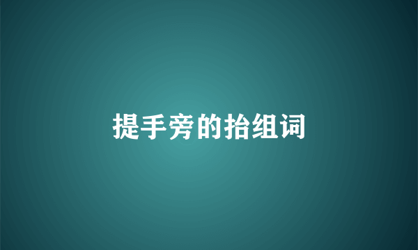 提手旁的抬组词