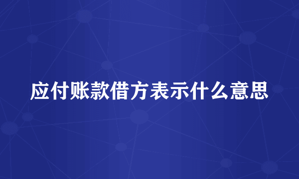 应付账款借方表示什么意思