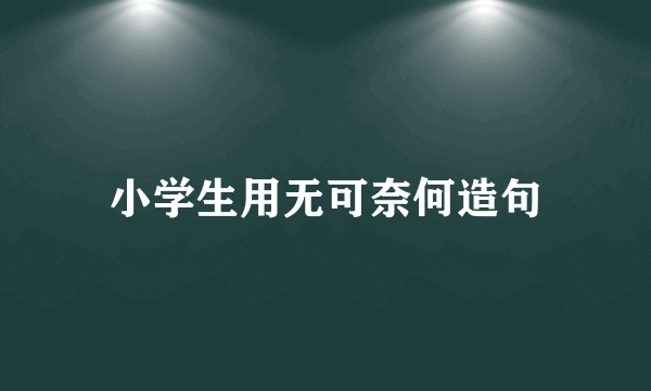 小学生用无可奈何造句