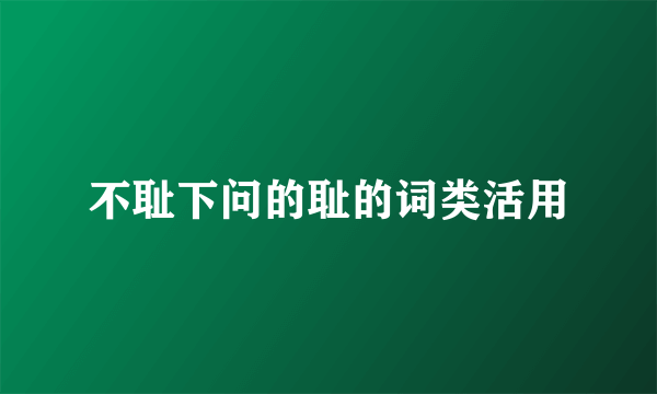 不耻下问的耻的词类活用