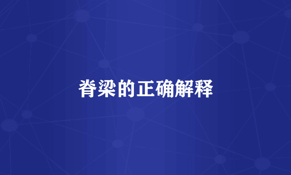 脊梁的正确解释