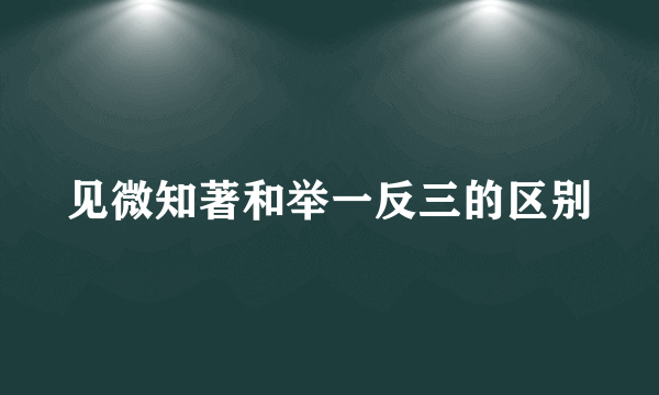 见微知著和举一反三的区别