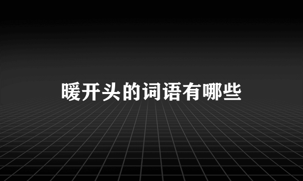 暖开头的词语有哪些